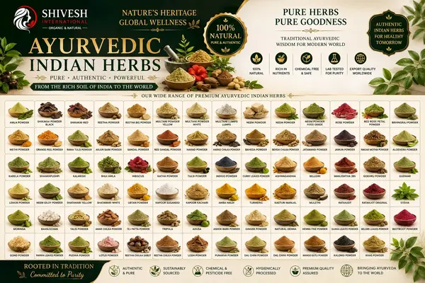 Ayurvedic Indian Herbs